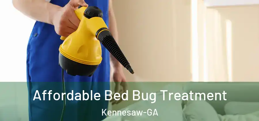  Affordable Bed Bug Treatment Kennesaw-GA