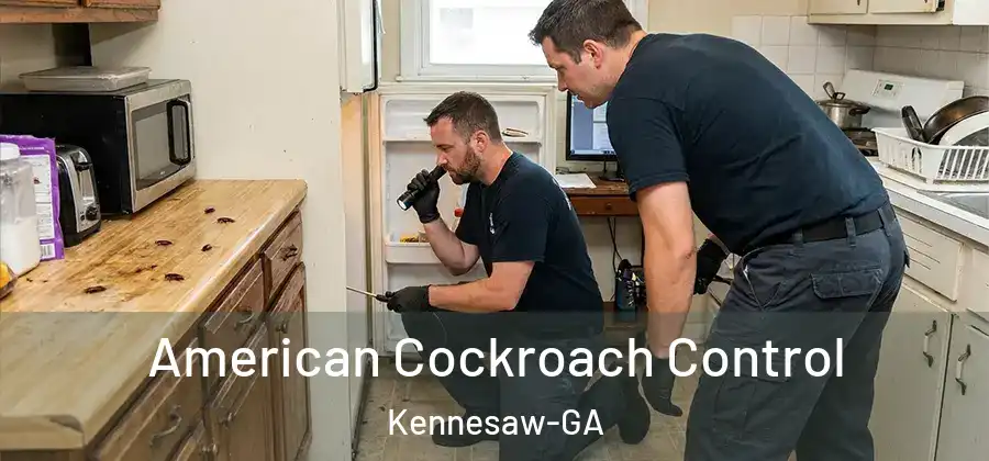  American Cockroach Control Kennesaw-GA