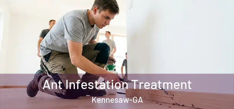  Ant Infestation Treatment Kennesaw-GA