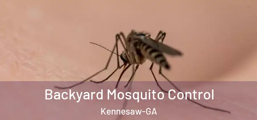  Backyard Mosquito Control Kennesaw-GA