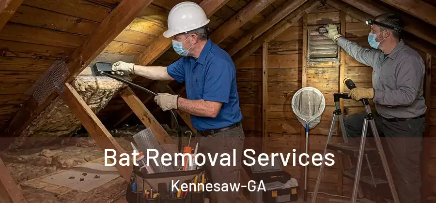  Bat Removal Services Kennesaw-GA