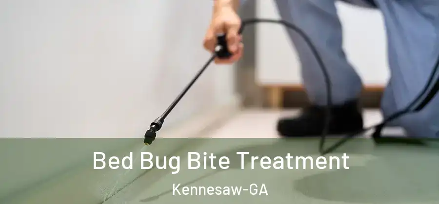  Bed Bug Bite Treatment Kennesaw-GA