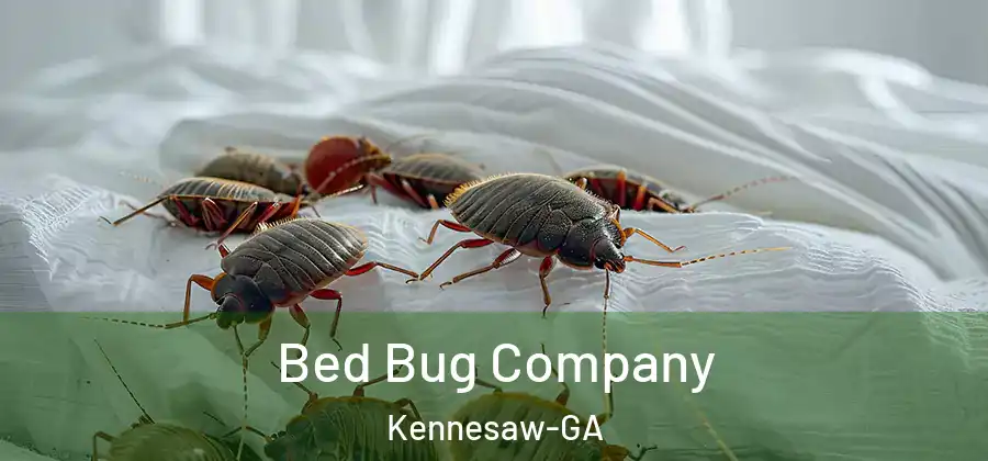 Bed Bug Company Kennesaw-GA