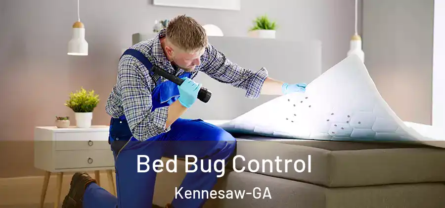  Bed Bug Control Kennesaw-GA