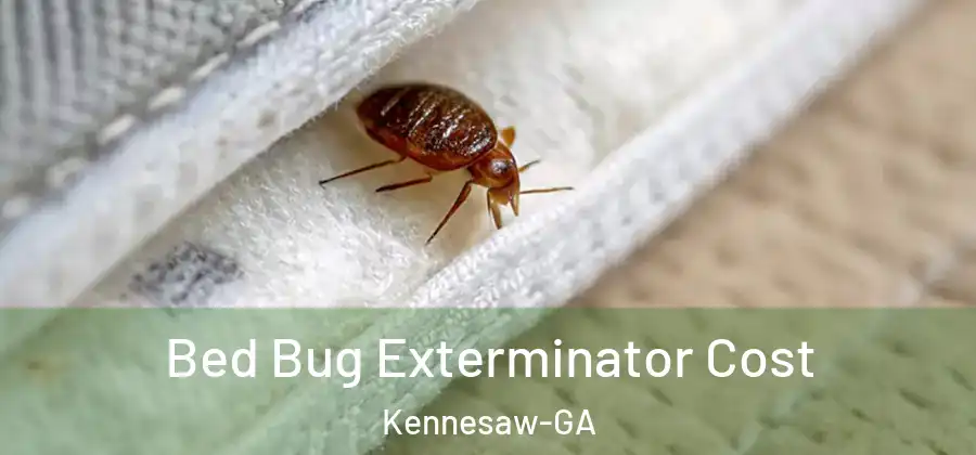  Bed Bug Exterminator Cost Kennesaw-GA