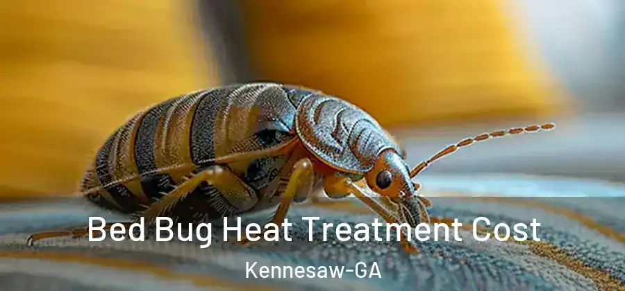  Bed Bug Heat Treatment Cost Kennesaw-GA