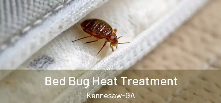  Bed Bug Heat Treatment Kennesaw-GA