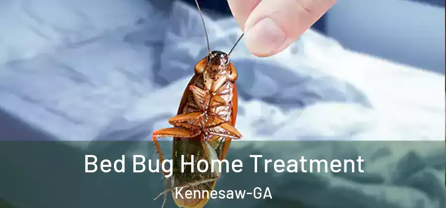  Bed Bug Home Treatment Kennesaw-GA