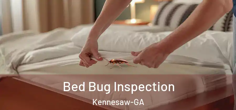  Bed Bug Inspection Kennesaw-GA