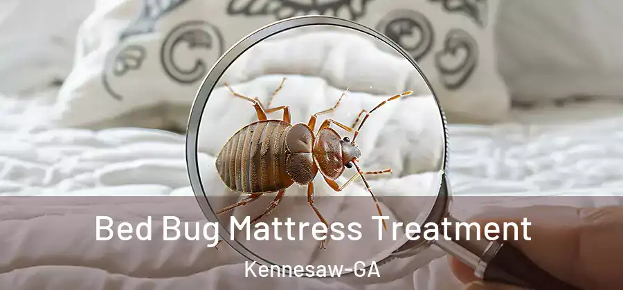  Bed Bug Mattress Treatment Kennesaw-GA