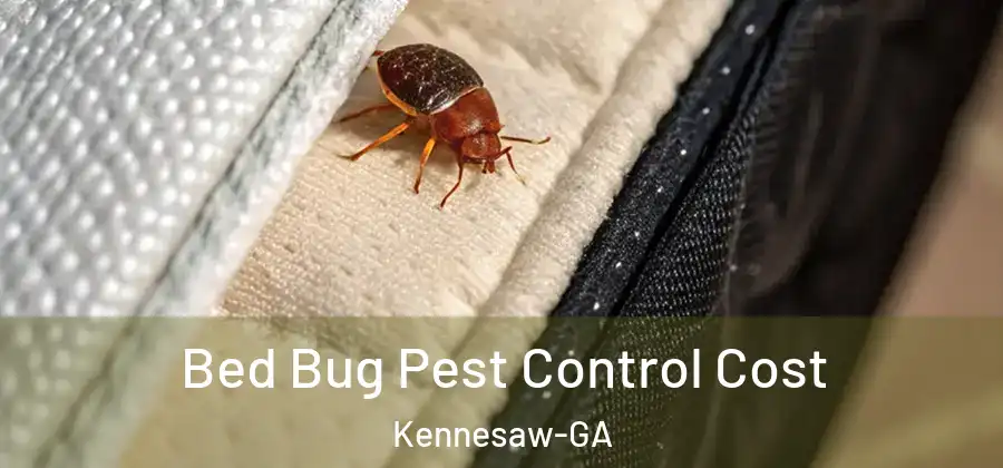 Bed Bug Pest Control Cost Kennesaw-GA