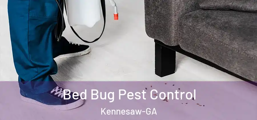  Bed Bug Pest Control Kennesaw-GA