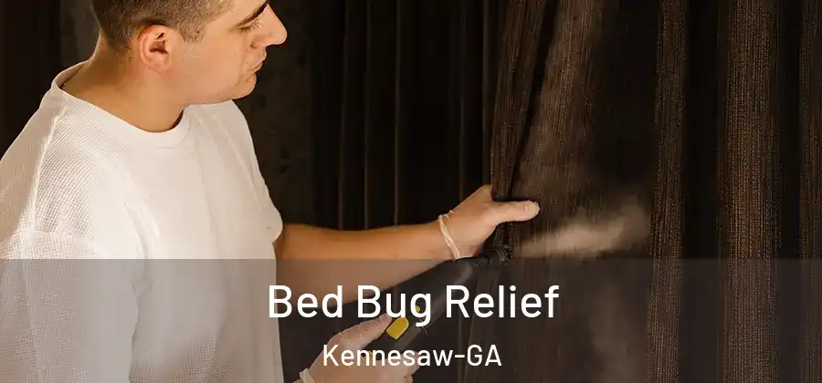 Bed Bug Relief Kennesaw-GA