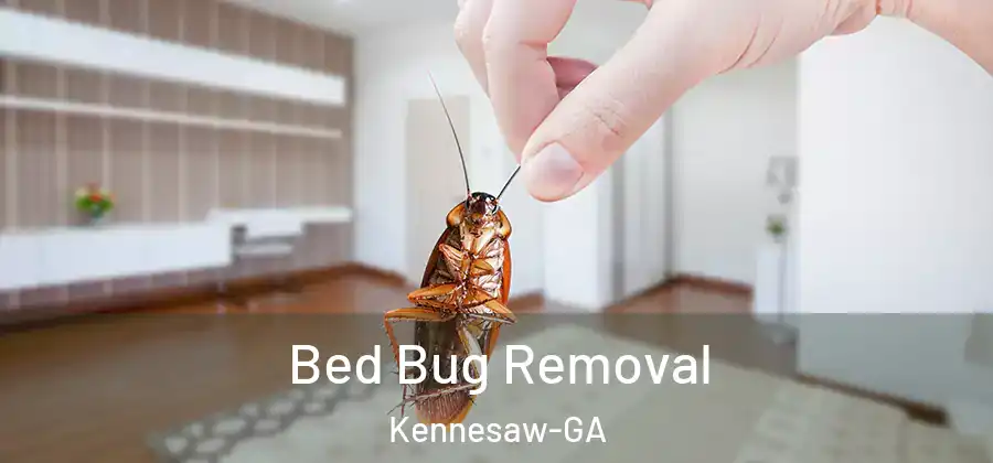 Bed Bug Removal Kennesaw-GA
