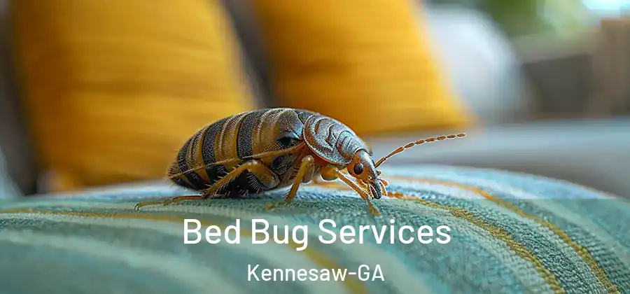  Bed Bug Services Kennesaw-GA