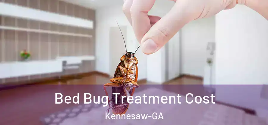  Bed Bug Treatment Cost Kennesaw-GA