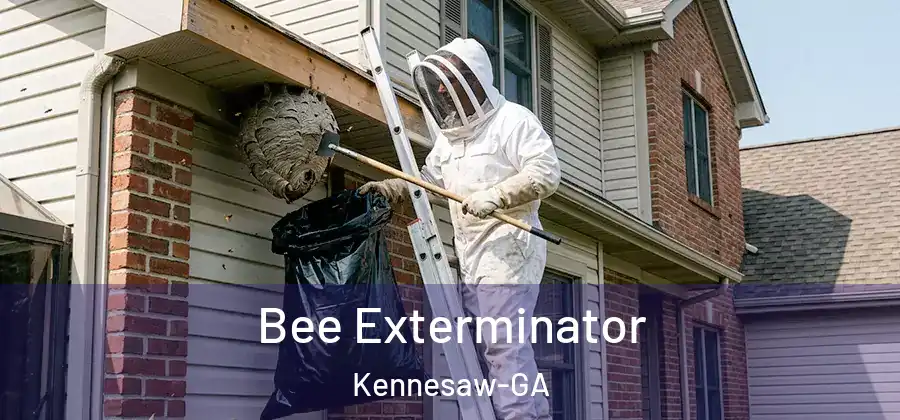 Bee Exterminator Kennesaw-GA
