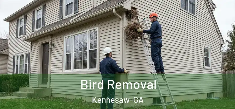  Bird Removal Kennesaw-GA