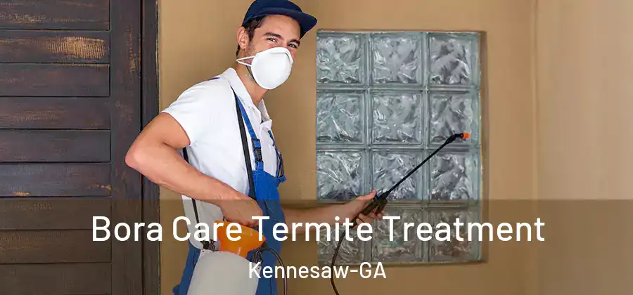  Bora Care Termite Treatment Kennesaw-GA