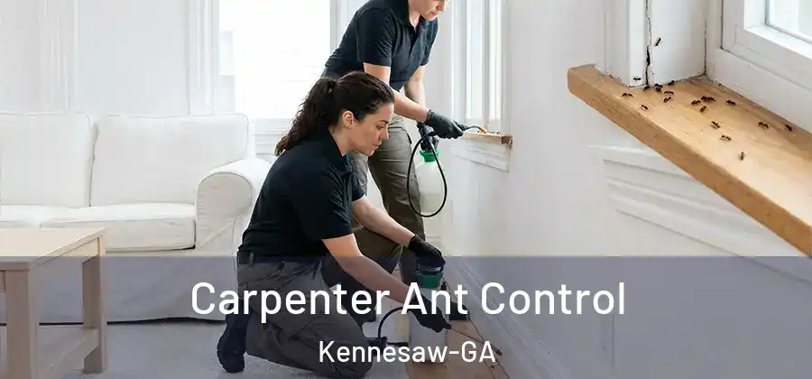  Carpenter Ant Control Kennesaw-GA