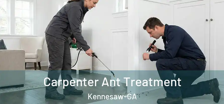  Carpenter Ant Treatment Kennesaw-GA