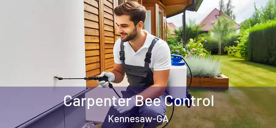 Carpenter Bee Control Kennesaw-GA