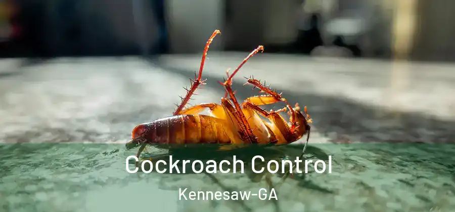  Cockroach Control Kennesaw-GA