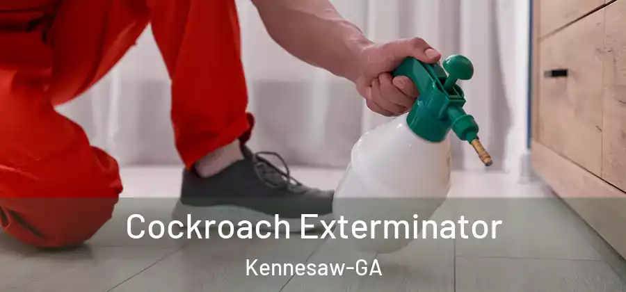 Cockroach Exterminator Kennesaw-GA