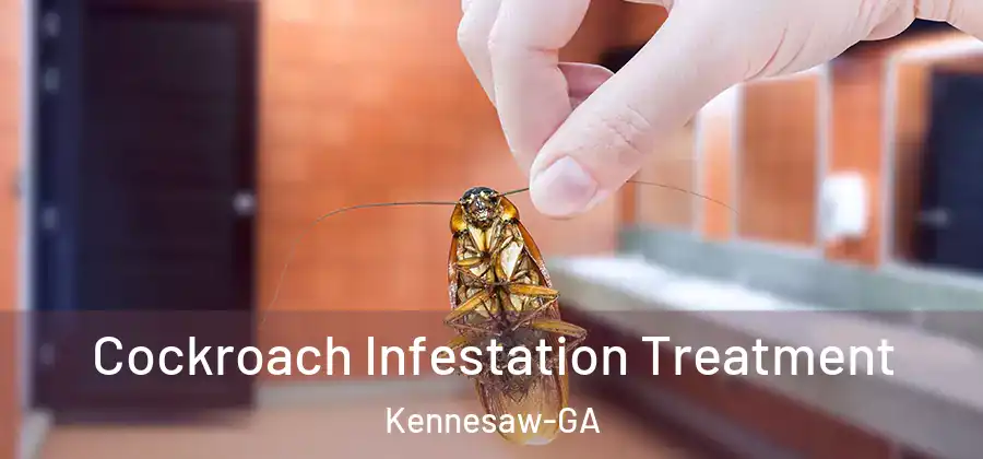  Cockroach Infestation Treatment Kennesaw-GA