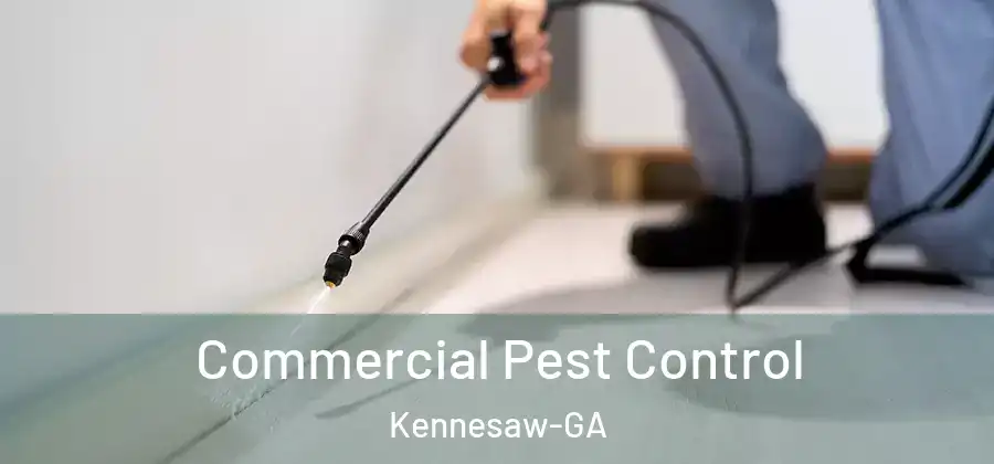 Commercial Pest Control Kennesaw-GA