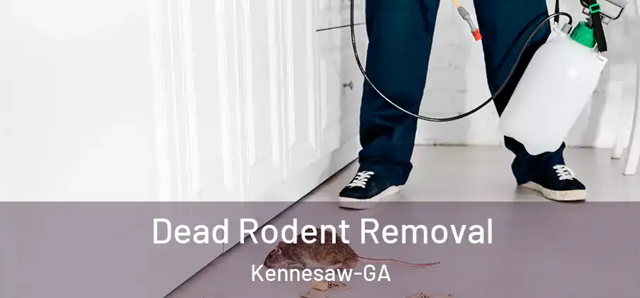  Dead Rodent Removal Kennesaw-GA