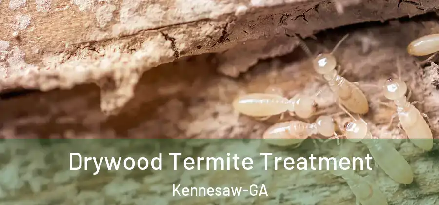 Drywood Termite Treatment Kennesaw-GA
