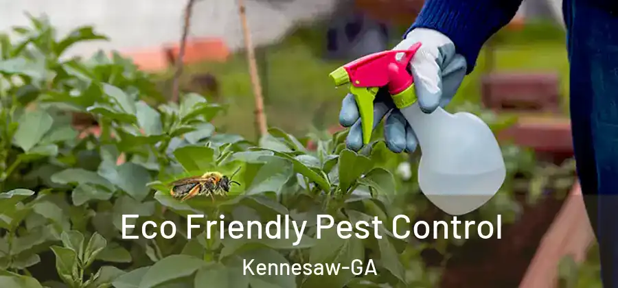  Eco Friendly Pest Control Kennesaw-GA