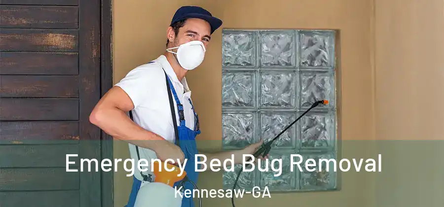 Emergency Bed Bug Removal Kennesaw-GA