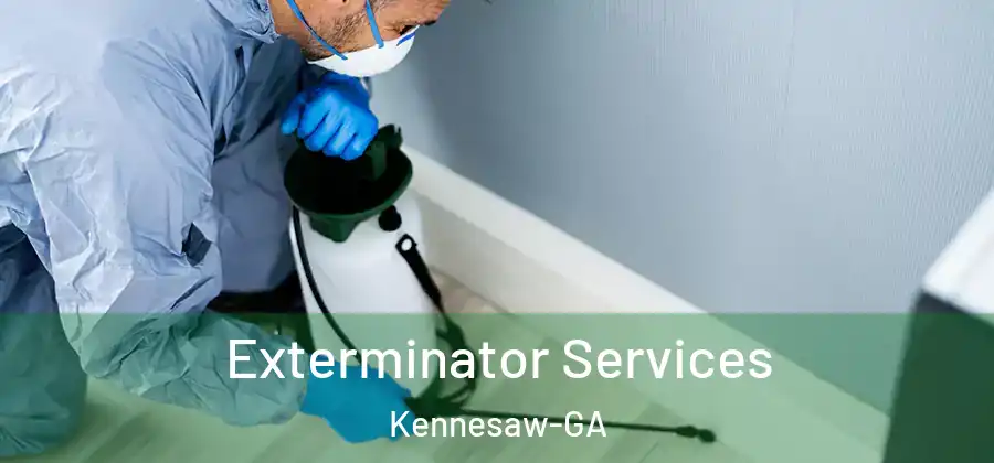 Exterminator Services Kennesaw-GA