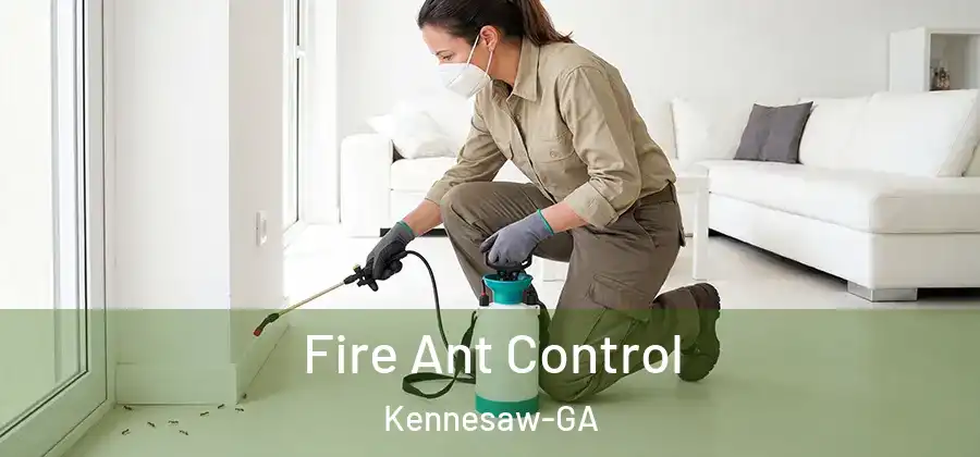  Fire Ant Control Kennesaw-GA