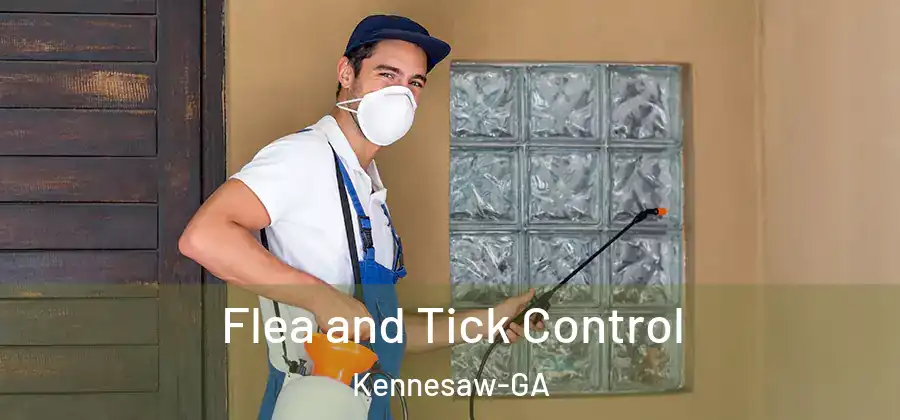  Flea and Tick Control Kennesaw-GA