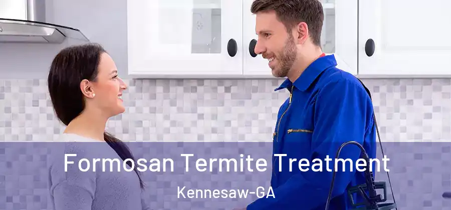  Formosan Termite Treatment Kennesaw-GA
