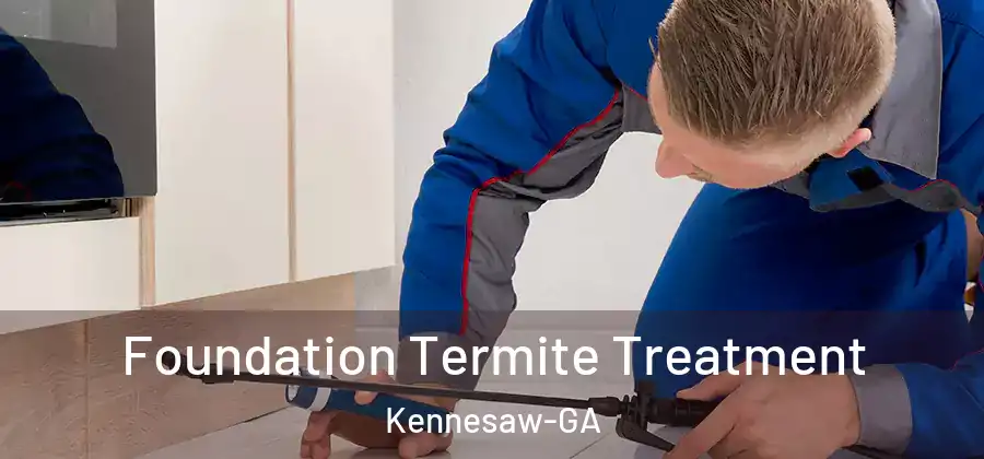  Foundation Termite Treatment Kennesaw-GA