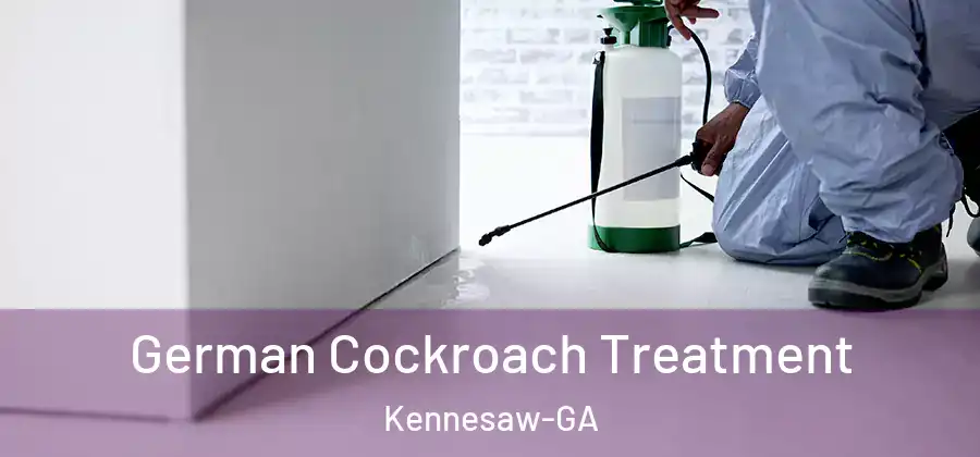  German Cockroach Treatment Kennesaw-GA
