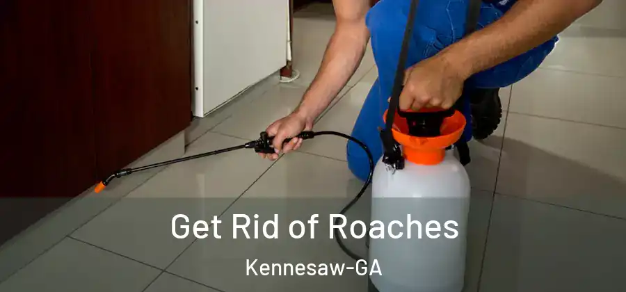 Get Rid of Roaches Kennesaw-GA