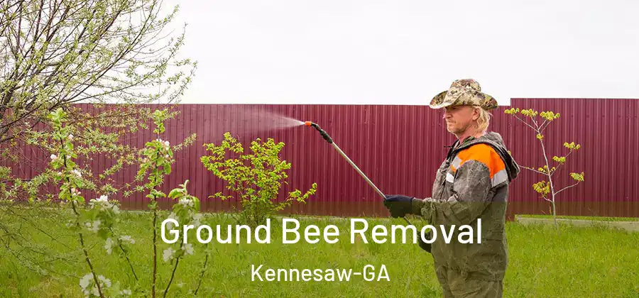  Ground Bee Removal Kennesaw-GA