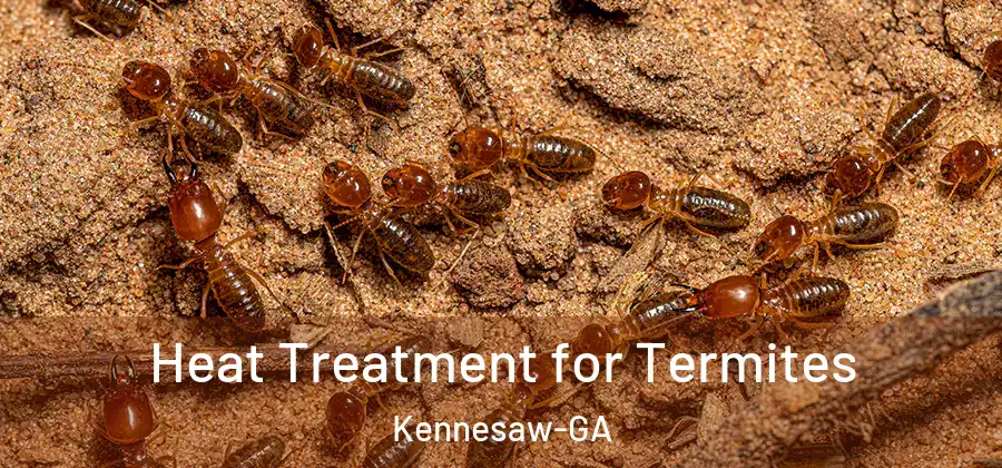  Heat Treatment for Termites Kennesaw-GA