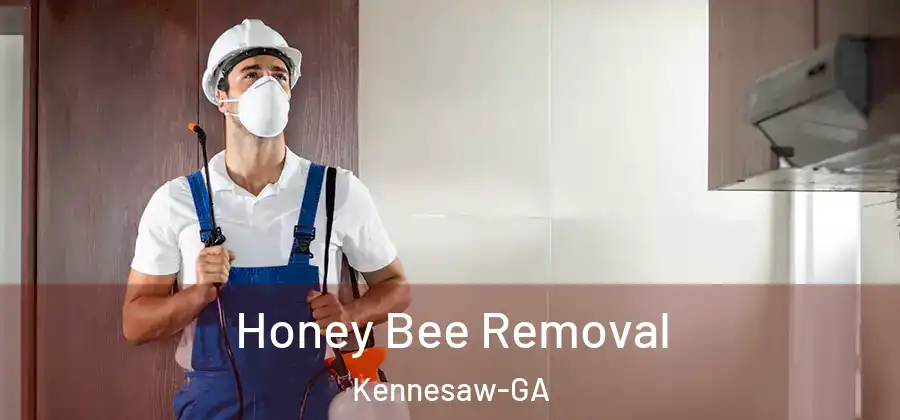  Honey Bee Removal Kennesaw-GA