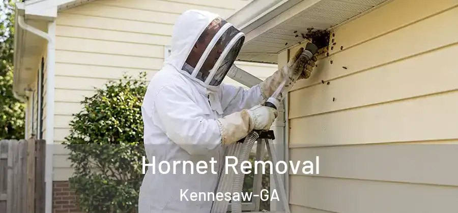  Hornet Removal Kennesaw-GA