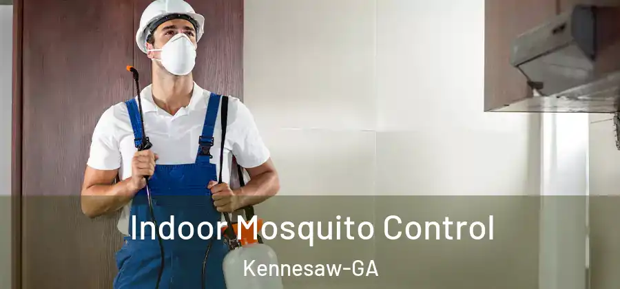  Indoor Mosquito Control Kennesaw-GA