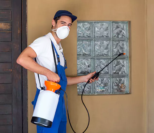 Your Reliable Pest Control in Kennesaw, GA