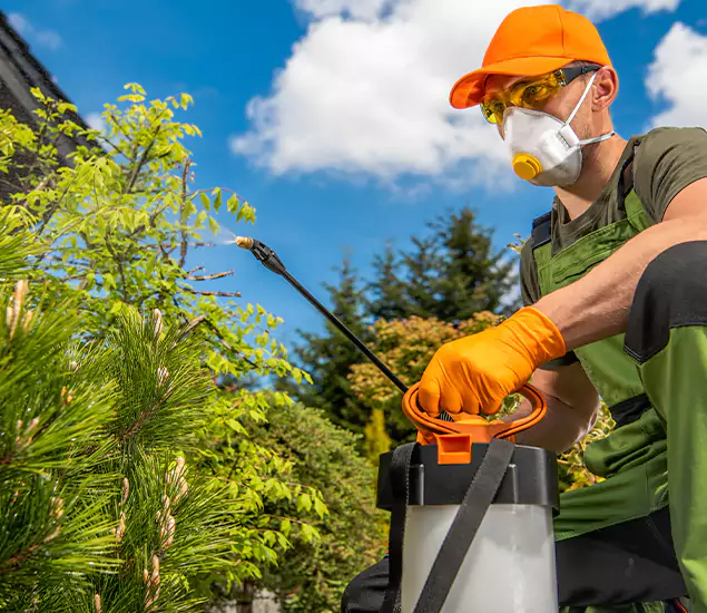Your Mosquito Repellent Barrier Service in Kennesaw, GA