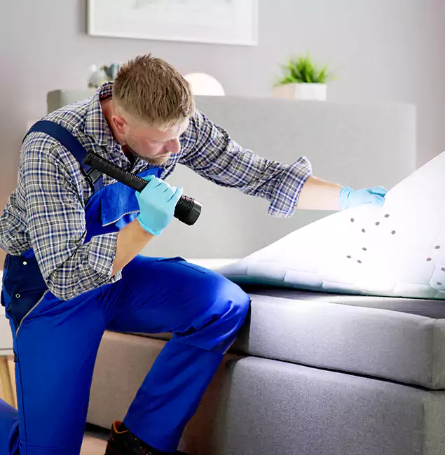 Why Choose Kennesaw Pest Control Pro For Bed Bug Heat Treatment in Kennesaw, GA?