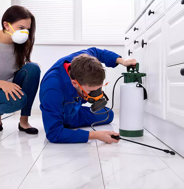 Why Kennesaw, GA Homeowners Trust Kennesaw Pest Control Pro for Roach Control?